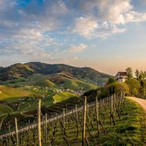 Solarzellen mit integriertem Energiespeicher